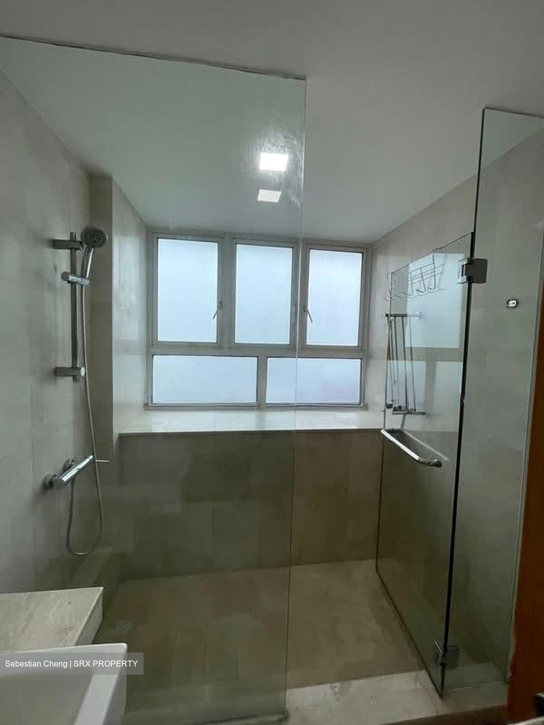 Mera Springs (D8), Condominium #590293631